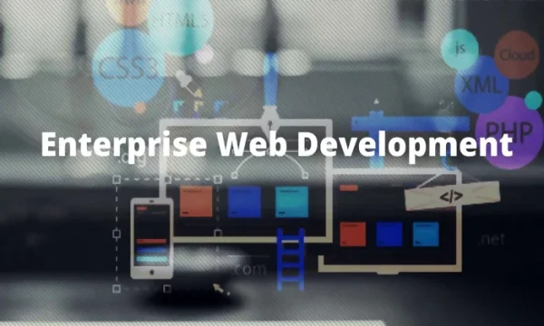 Enterprise Web Development